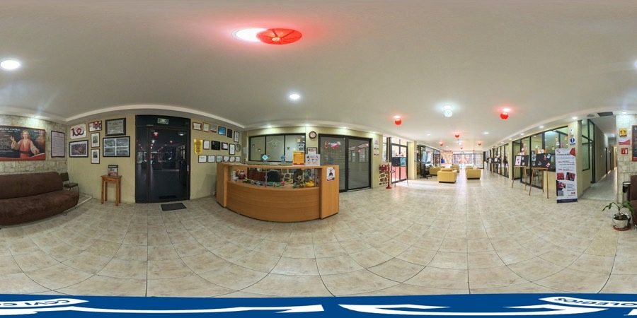 Recepción 360